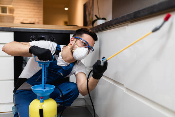 Best Emergency Pest Control  in Beaver, UT