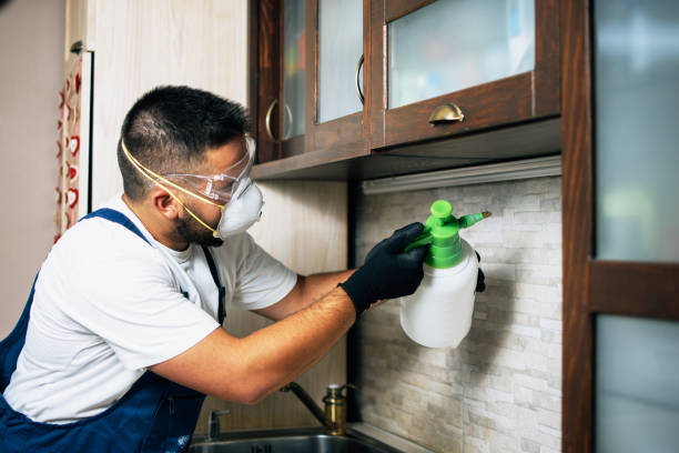 Pest Control for Restaurants in Beaver, UT