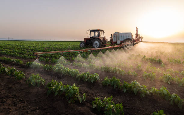 Best Mosquito Control Services  in Beaver, UT