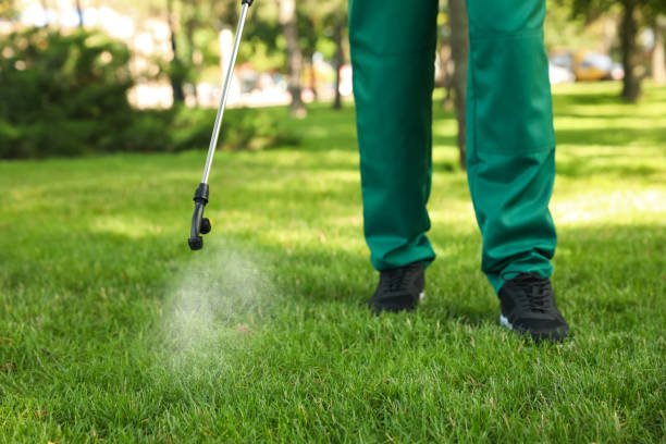 Best Pest Control for Restaurants  in Beaver, UT