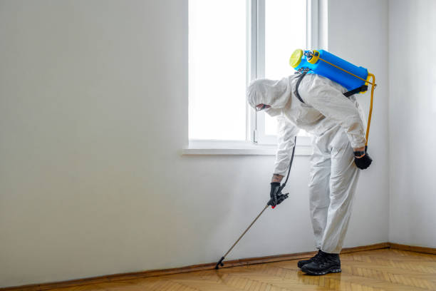 Best Pest Removal Services  in Beaver, UT