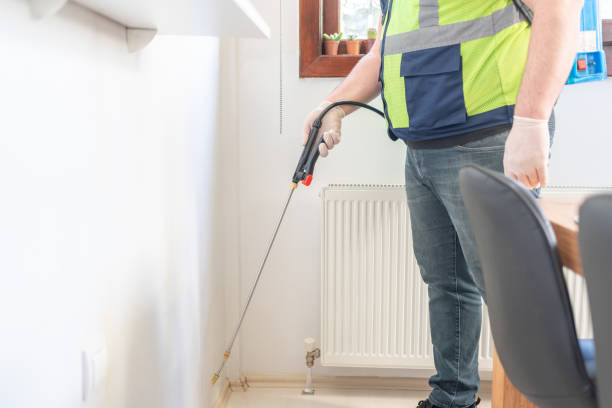 Best Flea Control Services  in Beaver, UT