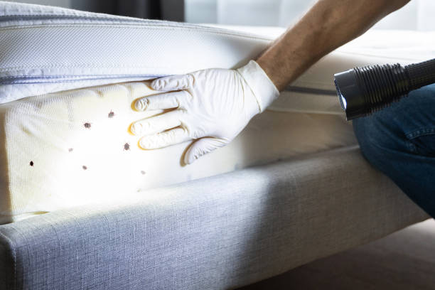 Best Pest Prevention Services  in Beaver, UT